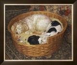 Sleeping Dogs