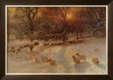 The Shortening Winter's Day