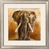 Buy Elephant at AllPosters.com