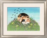 Cat-titude