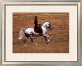 Buy In the Country at AllPosters.com