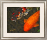 Green Rock Japanese Koi II