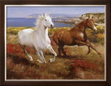 Buy Free as the Wind at AllPosters.com