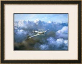 Buy Flight of Freedom at AllPosters.com