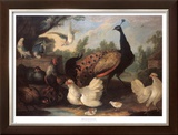 Buy Barnyard with Chickens at AllPosters.com