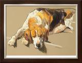 Buy Hound in a Kennel at AllPosters.com