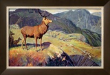 Buy Scotland for Holidays at AllPosters.com