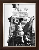 Buy Boulevard Poissonie`re, c.1957 at AllPosters.com