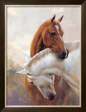 Buy Acquiesce at AllPosters.com