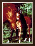 Buy Tail End at AllPosters.com