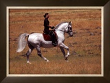 Buy In the Country at AllPosters.com