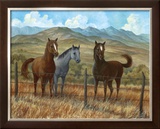 Appaloosa I