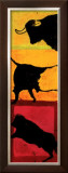 Toros