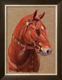 Buy Greencoat at AllPosters.com