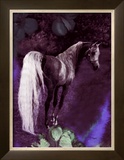 Buy Grey Stallion Art at AllPosters.com