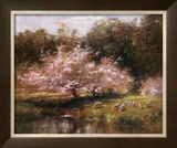 Sheep Grazing Under Apple Blossoms