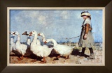 To Pastures New
