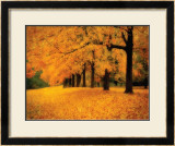 Buy Gold of Autumn West at AllPosters.com