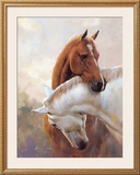 Buy Acquiesce at AllPosters.com