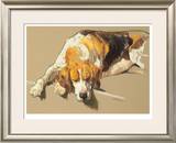 Buy Hound in a Kennel at AllPosters.com