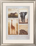 Buy Animals of Africa at AllPosters.com