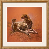 Buy Cheetah Mother at AllPosters.com