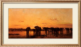 Buy Elephants at Sunset at AllPosters.com