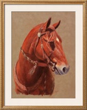 Buy Greencoat at AllPosters.com