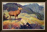 Buy Scotland for Holidays at AllPosters.com