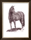 Buy Calypso Pony at AllPosters.com
