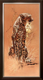 Buy Cheetah at AllPosters.com