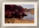Buy Monarchs of the Wilderness at AllPosters.com