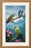 Buy Yellow Nape at AllPosters.com
