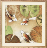 Koi Fest II