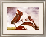 Buy A Look Back at AllPosters.com