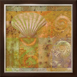 Buy Seashell Collage at AllPosters.com