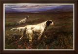 Setters on the Moors