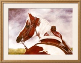 Buy A Look Back at AllPosters.com