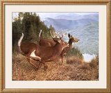 Buy Running Deer at AllPosters.com