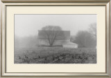 Buy Barns and Geese at AllPosters.com