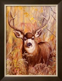Buy Buck in Forest at AllPosters.com