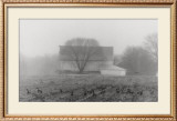 Buy Barns and Geese at AllPosters.com