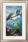 Buy Yellow Nape at AllPosters.com
