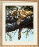 Buy Lake Manyara Lioness at AllPosters.com