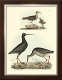 Selby Sandpipers I