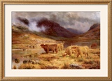 Buy After the Storm at AllPosters.com