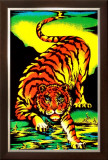 Tiger Framed Art Print