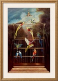 Buy Aviary at AllPosters.com