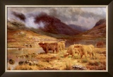 Buy After the Storm at AllPosters.com