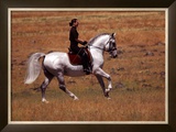 Buy In the Country at AllPosters.com